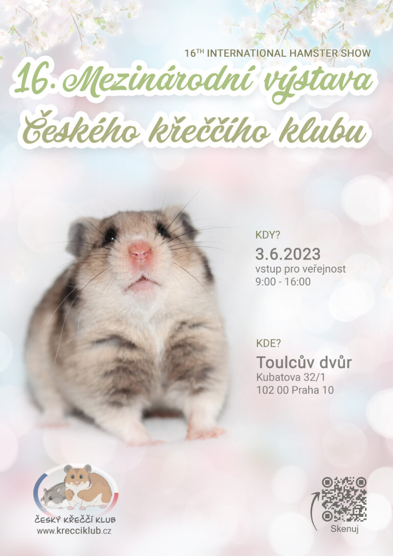 16. Mezinárodní výstava ČKK